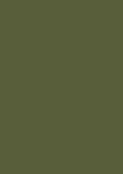 25736 MN.jpg
